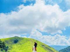 -大姆山草场