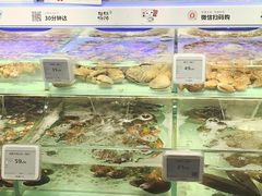 -超级物种·波龙工坊(国贸店)