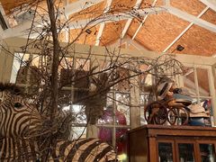 -栖露营camping·天幕烧烤·团建拓展·采摘营地