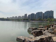-南翔镇银翔湖公园