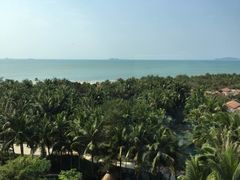 -三亚湾海居铂尔曼度假酒店