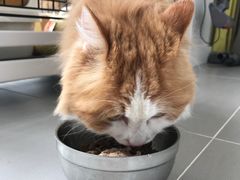 -美联众合动物医院·24h转诊中心