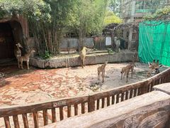 -长鹿旅游休博园