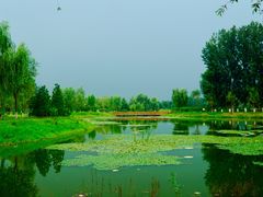 -东郊湿地公园