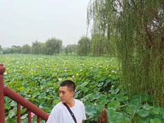 -陶辛水韵