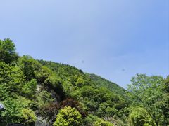-东天目山风景区