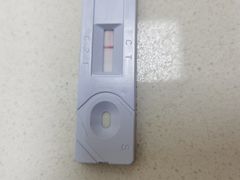 -泰洋动物医院·神经专科·磁共振·CT(天河公园总院)