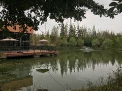 -上海长兴岛郊野公园