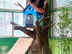 -海合安武汉极地海洋公园