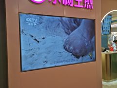 -小杨生煎(湟普汇店)