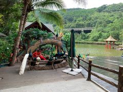 -西双版纳原始森林公园
