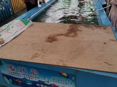 -麻涌飞鸭开心农场