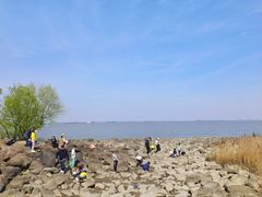 -上海吴淞炮台湾国家湿地公园