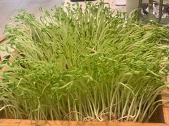 -椰子营·椰子鸡火锅(万象里店)