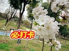 -堤角公园