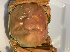 -鹭江潮餐厅•福建菜(鹭江佲家酒店)