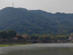 -风云岭森林公园
