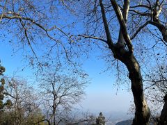 -莫干山风景区
