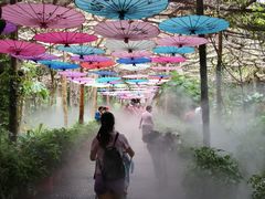 -广西壮族自治区药用植物园
