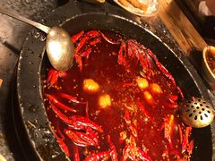 牛油红锅-蜀大侠火锅(寰球文化地标·总府店)