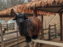 -北京鹿世界主题园