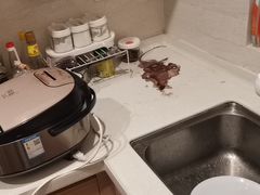 -天鹅到家·保姆月嫂育儿嫂(天河店)