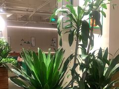 -咖啡之翼(奥特莱斯店)