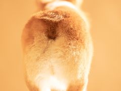 -肆俩肖像STUDIO(宝山万达店)