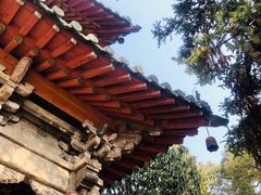 -报恩寺(平武县)