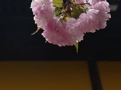 -龙华寺