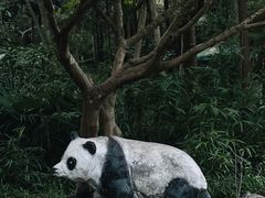 -杭州动物园