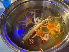 -千岛蚝高压锅生蚝·人参火锅(白云万达店)