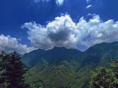 -九华山风景区