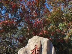 -香山公园