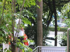 -一慈茶馆(雨田馆)
