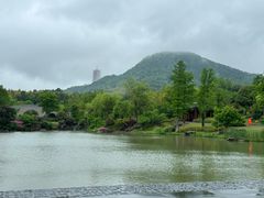 -牛首山文化旅游区