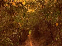 -盘龙城国家考古遗址公园