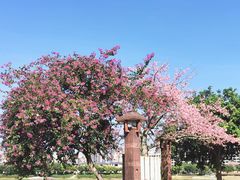 -风云岭森林公园