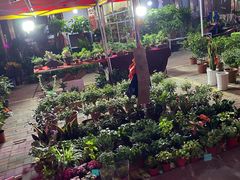 -中环花鸟鱼虫市场