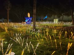 -东南花都花博园