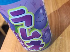 波子汽水-博多豚屋拉面
