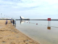 -碧海金沙