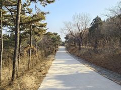 -北京西山国家森林公园