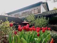 -三嚥阁 La Villa Restaurant