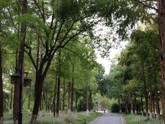 -西溪国家湿地公园