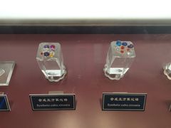 -中国地质大学逸夫博物馆