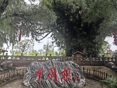 -大槐树寻根祭祖园