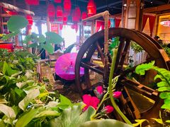 -老滇山寨•云南特色菜•地方菜•民族风情歌舞表演(金碧店)