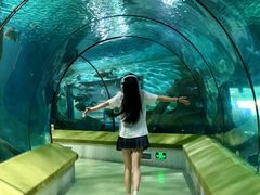 -福州罗源湾海洋世界旅游区