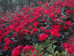 -水晶之星洗浴温泉汗蒸